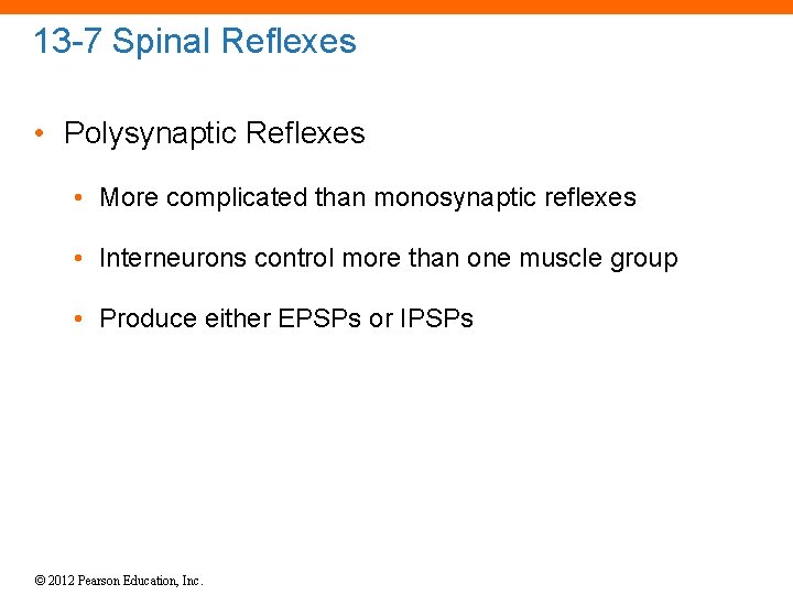 13 -7 Spinal Reflexes • Polysynaptic Reflexes • More complicated than monosynaptic reflexes •