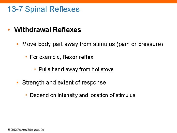 13 -7 Spinal Reflexes • Withdrawal Reflexes • Move body part away from stimulus