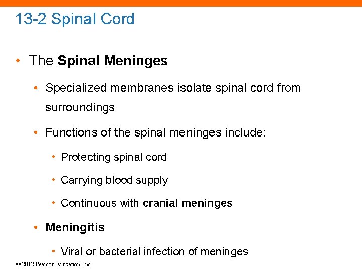 13 -2 Spinal Cord • The Spinal Meninges • Specialized membranes isolate spinal cord