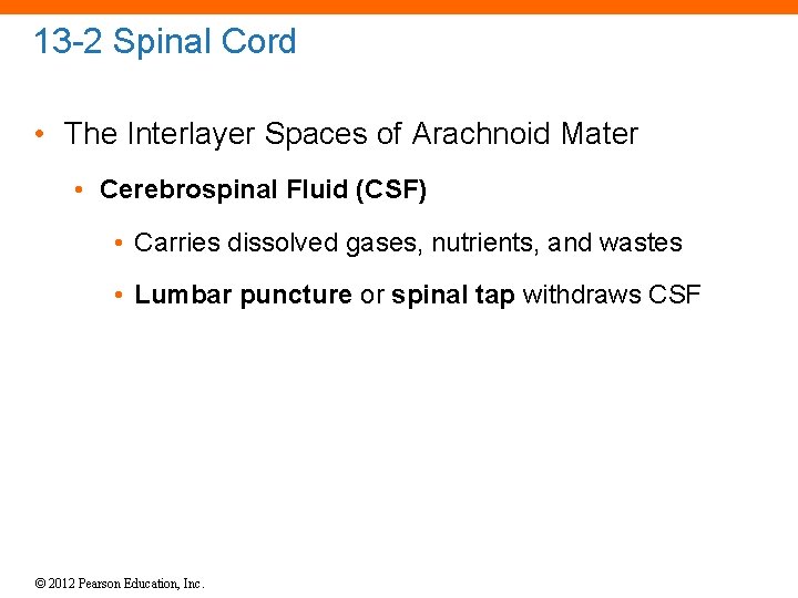 13 -2 Spinal Cord • The Interlayer Spaces of Arachnoid Mater • Cerebrospinal Fluid