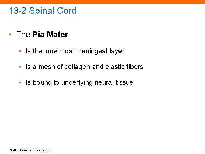 13 -2 Spinal Cord • The Pia Mater • Is the innermost meningeal layer