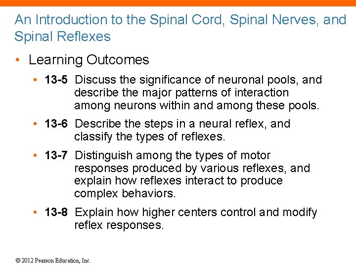 An Introduction to the Spinal Cord, Spinal Nerves, and Spinal Reflexes • Learning Outcomes