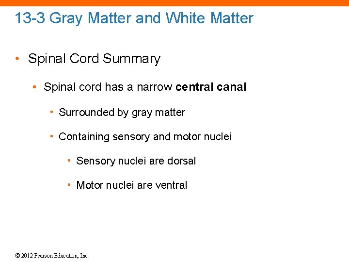 13 -3 Gray Matter and White Matter • Spinal Cord Summary • Spinal cord