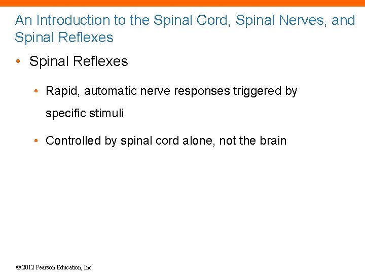An Introduction to the Spinal Cord, Spinal Nerves, and Spinal Reflexes • Spinal Reflexes