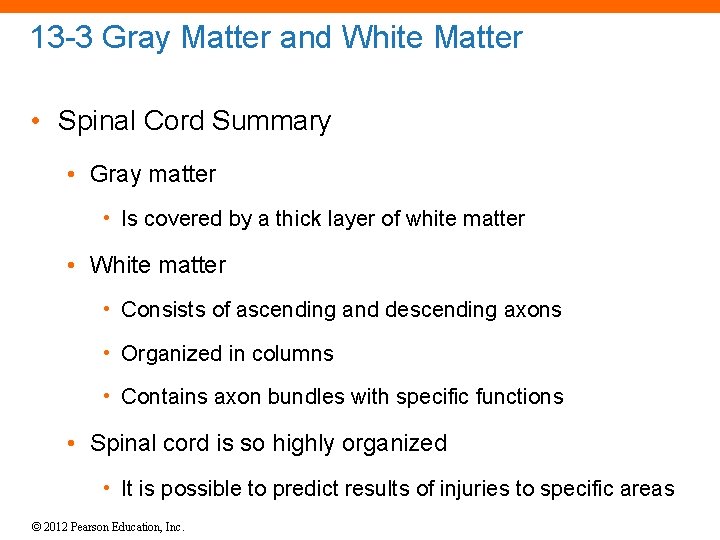 13 -3 Gray Matter and White Matter • Spinal Cord Summary • Gray matter