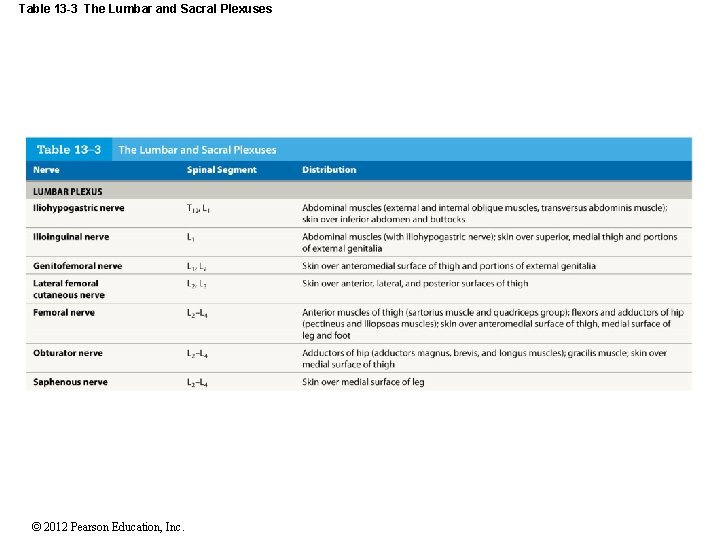 Table 13 -3 The Lumbar and Sacral Plexuses © 2012 Pearson Education, Inc. Table 13 -3 The Lumbar and Sacral Plexuses © 2012 Pearson Education, Inc.