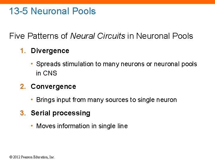 13 -5 Neuronal Pools Five Patterns of Neural Circuits in Neuronal Pools 1. Divergence