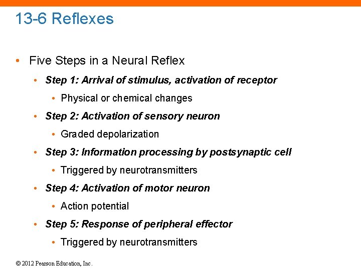 13 -6 Reflexes • Five Steps in a Neural Reflex • Step 1: Arrival