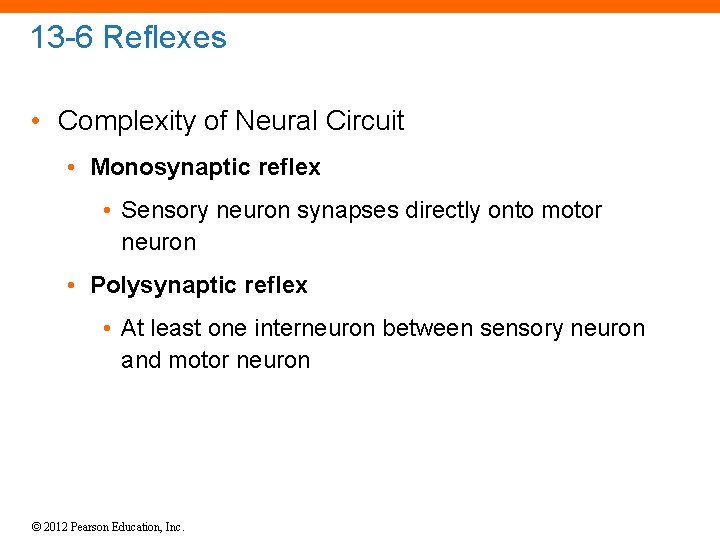13 -6 Reflexes • Complexity of Neural Circuit • Monosynaptic reflex • Sensory neuron 13 -6 Reflexes • Complexity of Neural Circuit • Monosynaptic reflex • Sensory neuron