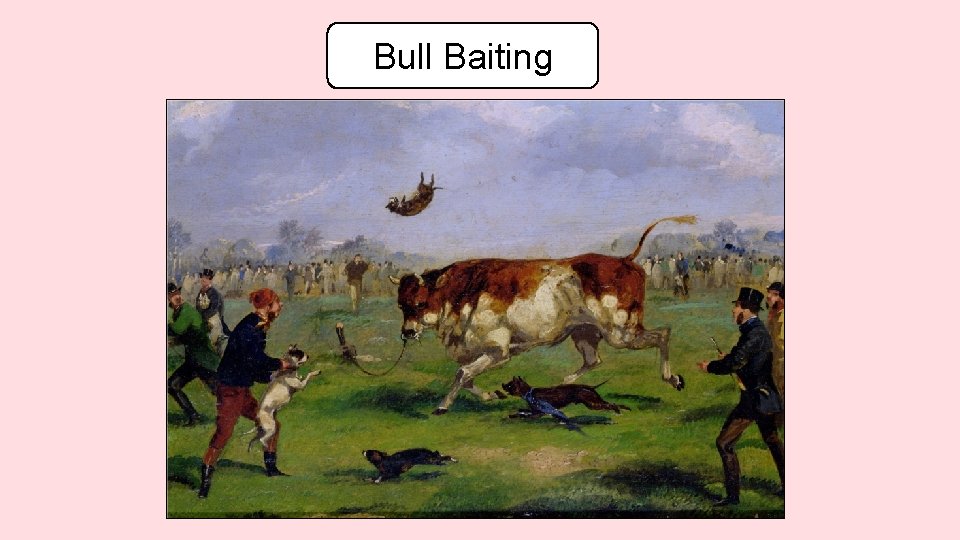 Bull Baiting 