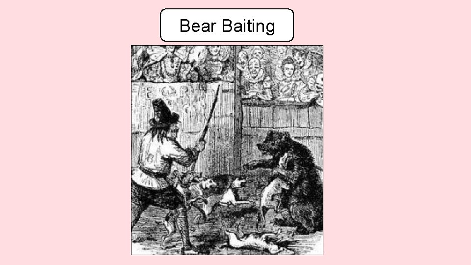 Bear Baiting 