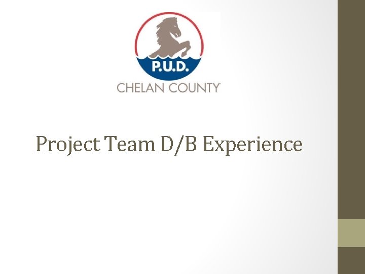Project Team D/B Experience Project Team D/B Experience