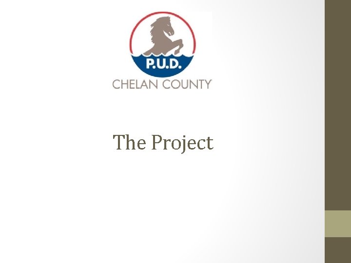 The Project The Project