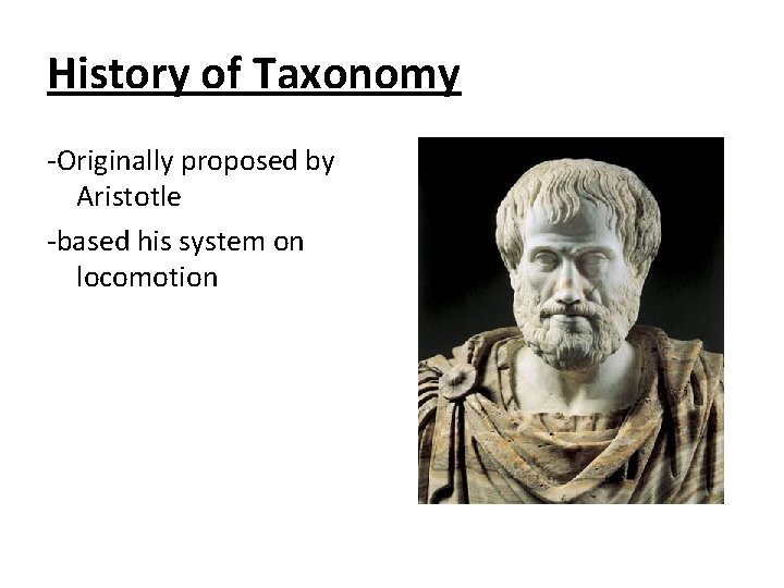History of Taxonomy -Originally proposed by Aristotle -based his system on locomotion History of Taxonomy -Originally proposed by Aristotle -based his system on locomotion
