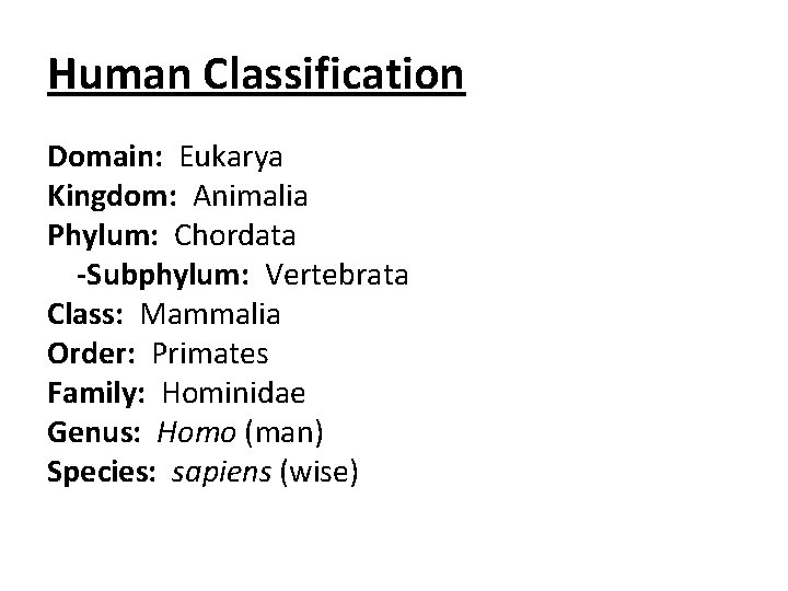 Human Classification Domain: Eukarya Kingdom: Animalia Phylum: Chordata -Subphylum: Vertebrata Class: Mammalia Order: Primates Human Classification Domain: Eukarya Kingdom: Animalia Phylum: Chordata -Subphylum: Vertebrata Class: Mammalia Order: Primates