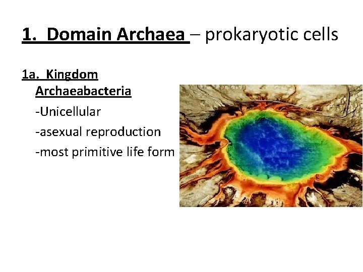 1. Domain Archaea – prokaryotic cells 1 a. Kingdom Archaeabacteria -Unicellular -asexual reproduction -most 1. Domain Archaea – prokaryotic cells 1 a. Kingdom Archaeabacteria -Unicellular -asexual reproduction -most