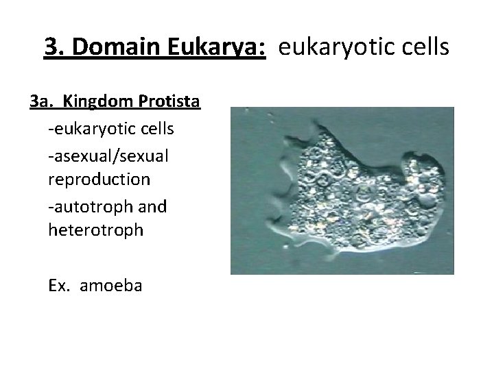 3. Domain Eukarya: eukaryotic cells 3 a. Kingdom Protista -eukaryotic cells -asexual/sexual reproduction -autotroph 3. Domain Eukarya: eukaryotic cells 3 a. Kingdom Protista -eukaryotic cells -asexual/sexual reproduction -autotroph
