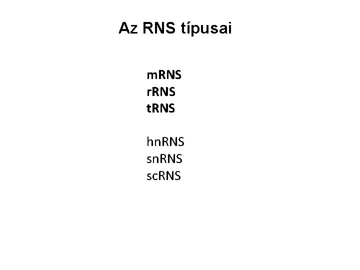 Az RNS típusai m. RNS r. RNS t. RNS hn. RNS sc. RNS 
