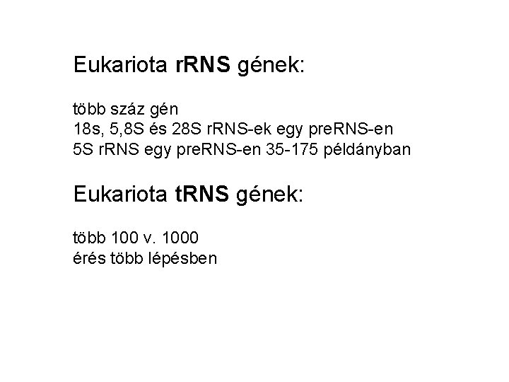 Eukariota r. RNS gének: több száz gén 18 s, 5, 8 S és 28