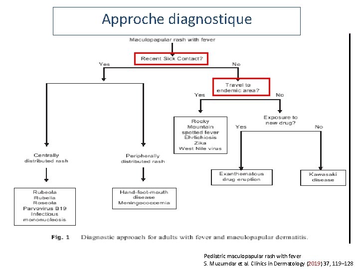 Approche diagnostique Pediatric maculopapular rash with fever S. Muzumdar et al. Clinics in Dermatology