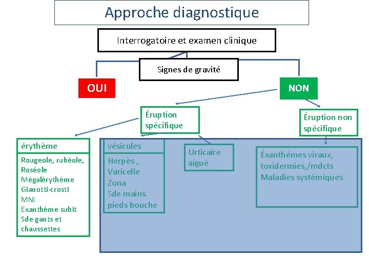 Approche diagnostique Interrogatoire et examen clinique Signes de gravité OUI NON Éruption spécifique érythème