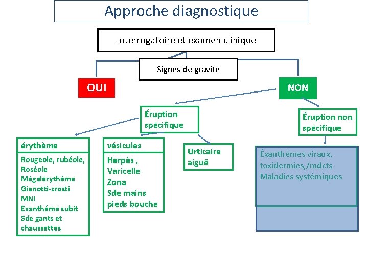 Approche diagnostique Interrogatoire et examen clinique Signes de gravité OUI NON Éruption spécifique érythème