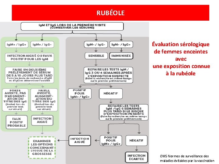 RUBÉOLE Évaluation sérologique de femmes enceintes avec une exposition connue à la rubéole OMS