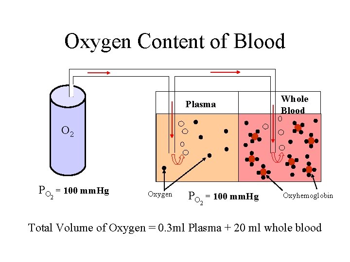 Oxygen Content of Blood Plasma Whole Blood PO = 100 mm. Hg Oxyhemoglobin O Oxygen Content of Blood Plasma Whole Blood PO = 100 mm. Hg Oxyhemoglobin O