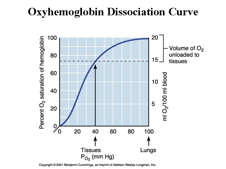 Oxyhemoglobin Dissociation Curve Oxyhemoglobin Dissociation Curve