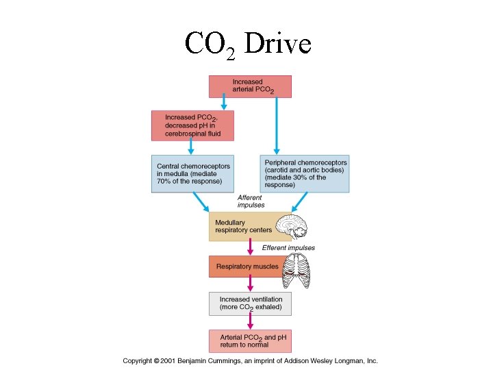 CO 2 Drive CO 2 Drive