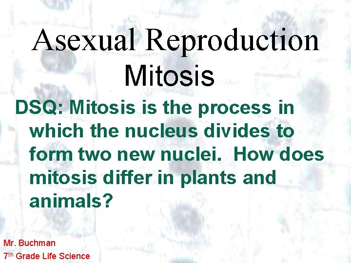 Asexual Reproduction Mitosis DSQ: Mitosis is the process in which the nucleus divides to