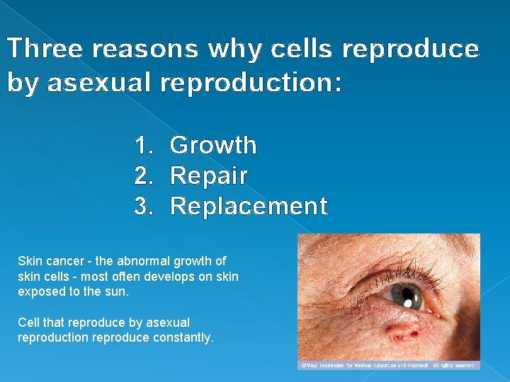 Three reasons why cells reproduce by asexual reproduction: 1. Growth 2. Repair 3. Replacement