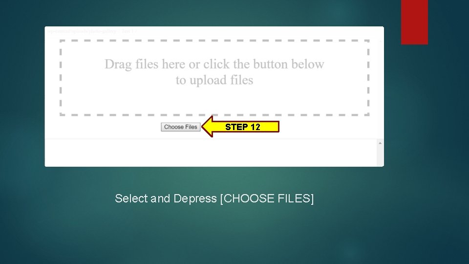 STEP 12 Select and Depress [CHOOSE FILES] 