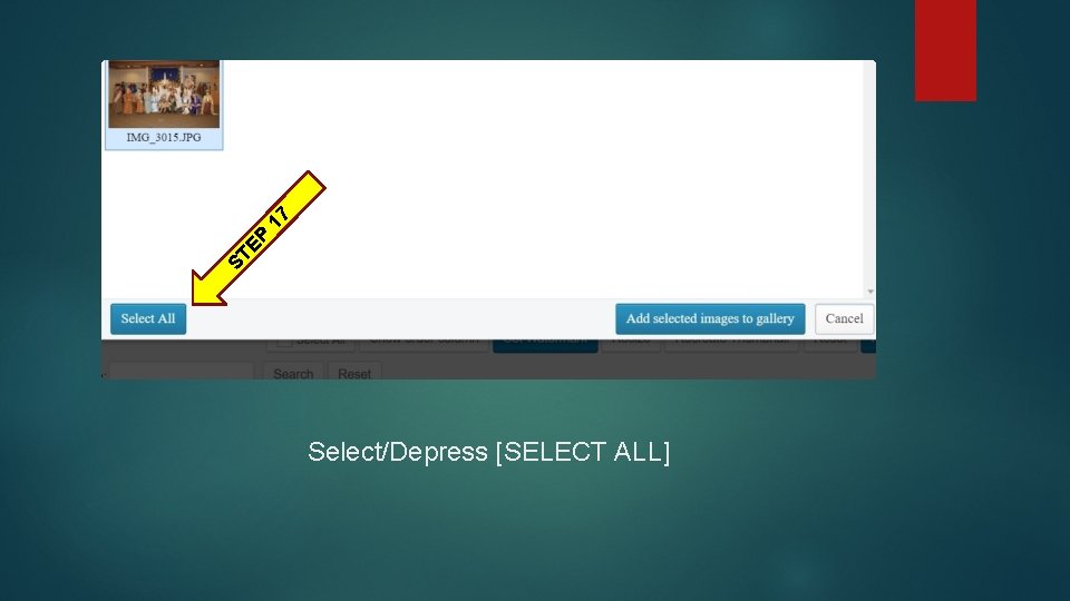 17 EP ST Select/Depress [SELECT ALL] 
