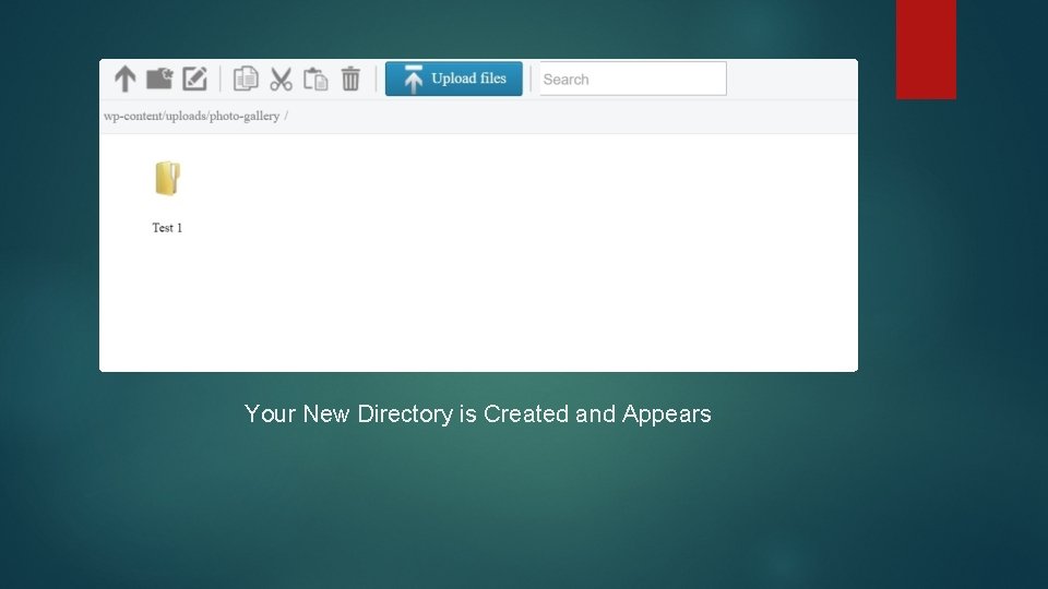 Your New Directory is Created and Appears 