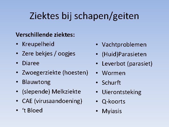 Ziektes bij schapen/geiten Verschillende ziektes: • Kreupelheid • Zere bekjes / oogjes • Diaree