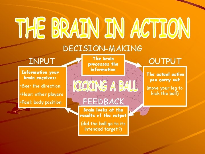 DECISION-MAKING INPUT Information your brain receives: The brain processes the information • See: the