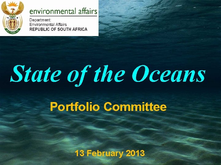 State of the Oceans Portfolio Committee 13 February 2013 