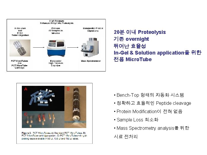 20분 이내 Proteolysis 기존 overnight 뛰어난 효율성 In-Gel & Solution application을 위한 전용 Micro.