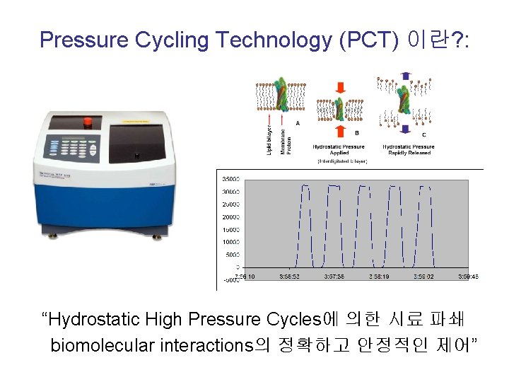Pressure Cycling Technology (PCT) 이란? : “Hydrostatic High Pressure Cycles에 의한 시료 파쇄 biomolecular