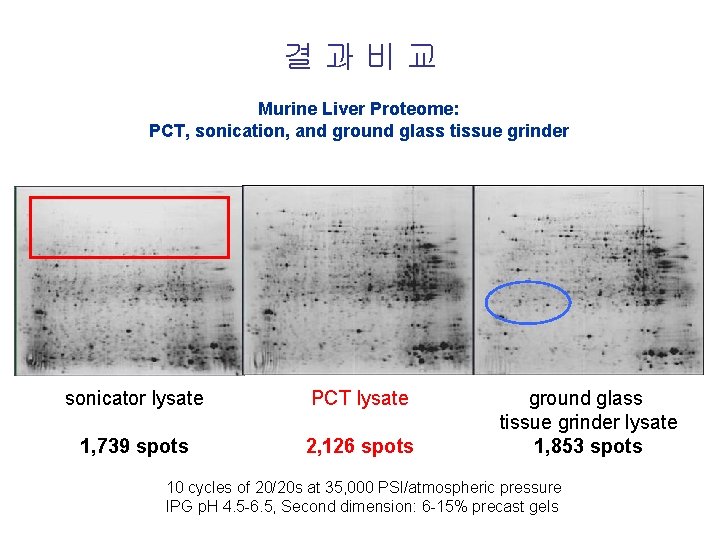 결과비교 Murine Liver Proteome: PCT, sonication, and ground glass tissue grinder sonicator lysate PCT