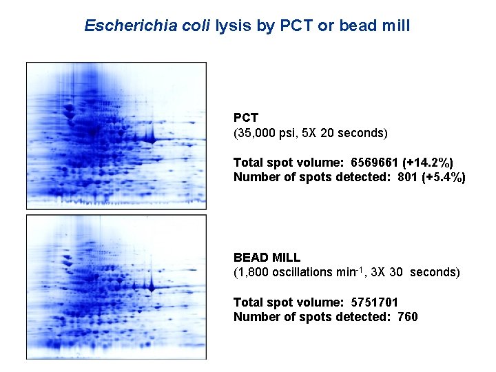 Escherichia coli lysis by PCT or bead mill PCT (35, 000 psi, 5 X