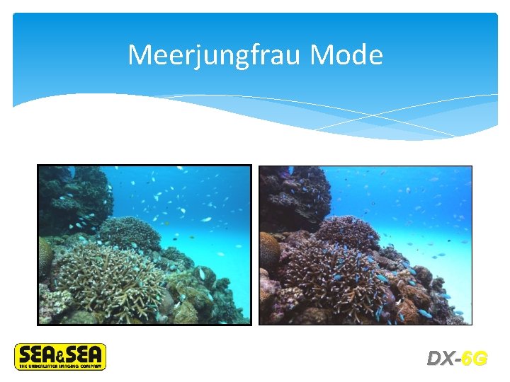 Meerjungfrau Mode DX-6 G 