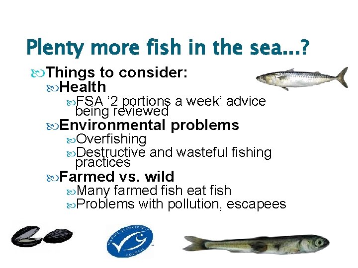 Plenty more fish in the sea. . . ? Things to consider: Health FSA