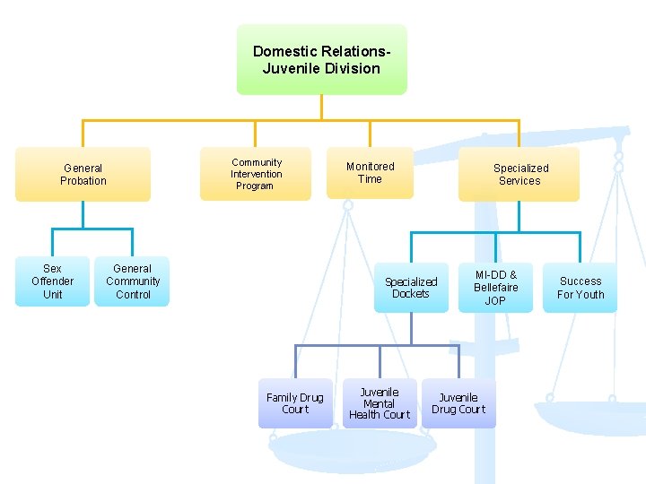 Domestic Relations. Juvenile Division Community Intervention Program General Probation Sex Offender Unit General Community