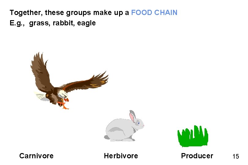 Together, these groups make up a FOOD CHAIN E. g. , grass, rabbit, eagle