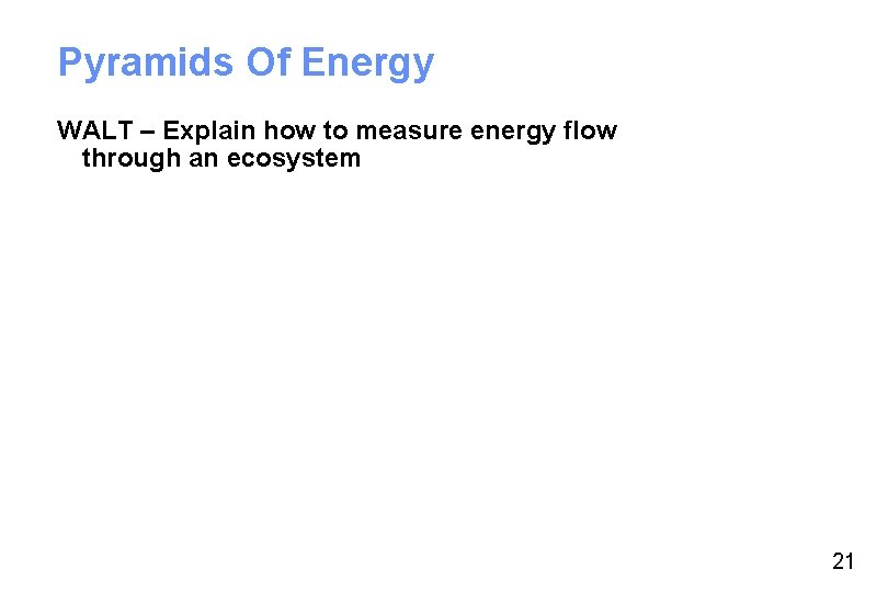 Pyramids Of Energy WALT – Explain how to measure energy flow through an ecosystem