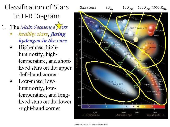 Classification of Stars in H-R Diagram 1. The Main Sequence stars • healthy stars,