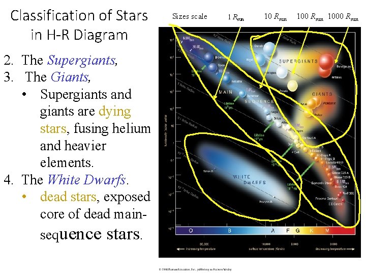 Classification of Stars in H-R Diagram 2. The Supergiants, 3. The Giants, • Supergiants