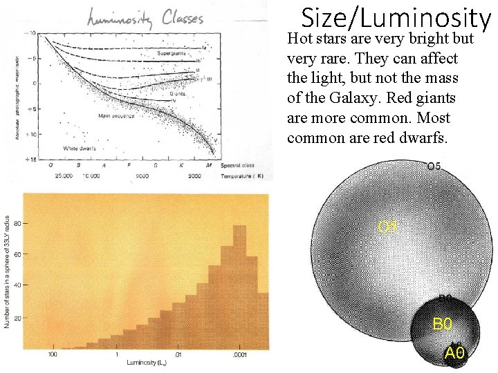 Size/Luminosity Hot stars are very bright but very rare. They can affect the light,